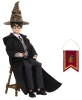 HARRY POTTER I TIARA PRZYDZIAŁU Magia w Twoim Domu LALKA AKCESORIA HND78