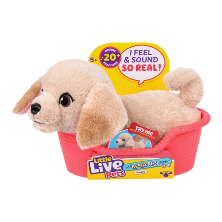 Little Live Pets My Really Real Puppy Mini Buddy Piesek labrador