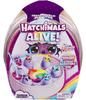 HATCHIMALS ALIVE! RAINBOW HATCHERY ZESTAW 6 FIGUREK W JAJKACH + AKCESORIA
