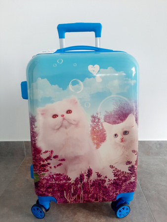 KOTY KOTKI KOT WALIZKA DZIECIĘCA KABINOWA PODRÓŻNA DLA DZIECI UNICORN SZYFR