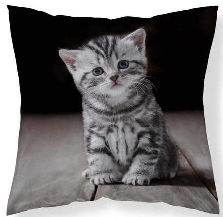 Poduszka Jasiek 40x40 Kotek Kot Szary + Wkład