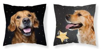 PIESEK PIES GOLDEN PODUSZKA JASIEK DZIECI WKŁAD