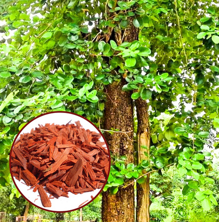 MAŁY ZESTAW PREZENTOWY DO KĄPIELI CIAŁA PREZENT KOSMETYKI SPA WANIENKA