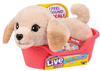 Little Live Pets My Really Real Puppy Mini Buddy Piesek labrador