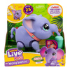 LITTLE LIVE PETS INTERAKTYWNY SŁOŃ SŁONIK TOOTS CHODZĄCY DŹWIĘKI REAKCJE