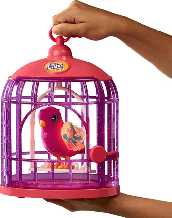 Little Live Pets Ptaszek Ptak śpiewający w klatce 26457 Różowy Klatka