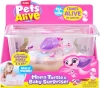 ZURU PETS ALIVE ZESTAW MAMA ŻÓŁW I MAŁE ŻÓWIKI W AKWARIUM