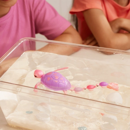 ZURU PETS ALIVE ZESTAW MAMA ŻÓŁW I MAŁE ŻÓWIKI W AKWARIUM