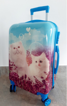 KOTY KOTKI KOT WALIZKA DZIECIĘCA KABINOWA PODRÓŻNA DLA DZIECI UNICORN SZYFR