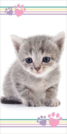 KOT KOTEK KOTKI RĘCZNIK PLAŻOWY 140X70 DZIECI