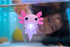 LET'S GLO AXOLOTL RYBKA RYBA RÓŻOWY PŁYWA ŚWIECĄCY ŚWIECI W WODZIE