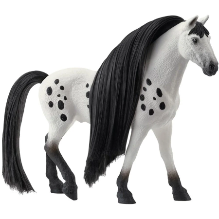 SCLECH PIEKNY OGIER RASY KNABSTRUPPER CZARNO BIALY KOŃ KONIK 42622