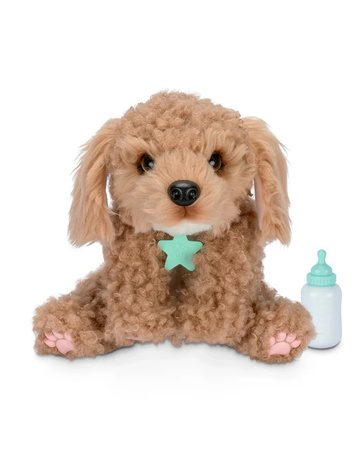 LITTLE LIVE PETS PIESEK PIES SZCZENIACZEK INTERAKTYWNY TRANSPORTER CURLEY