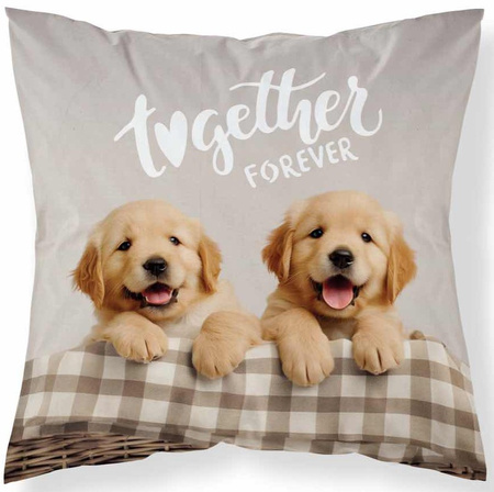 Poduszka Jasiek 40x40 Pieski Labradorki Szczeniaki + Wkład