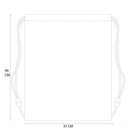 POKEMON PIKACHU WOREK NA OBUWE WF