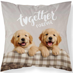 Poduszka Jasiek 40x40 Pieski Labradorki Szczeniaki + Wkład 