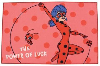 BIEDRONKA I CZARNY KOT DYWANIK DYWAN DO POKOJU DLA DZIECI DZIECIĘCY