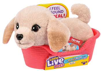 Little Live Pets My Really Real Puppy Mini Buddy Piesek labrador