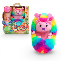 CURLIMALS INTERAKTYWNA GĄSIENICA COCO JEŻYK Maskotka Sensoryczna Plusz