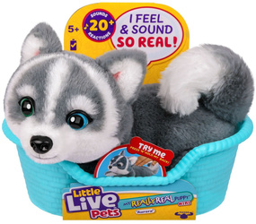 Little Live Pets My Really Real Puppy Mini Aurora Piesek Haski