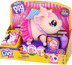 ŚWINKA INTERAKTYWNA PIGGLY BELLA BALETNICA CHODZI LITTLE LIVE PETS